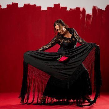 Flamenco Show Sevilla